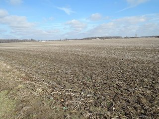 Property photo 11 - LAND AUCTION, 211+/- Acres offered in 3 Tracts